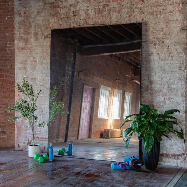 Large mirror on a brick wall with plants and exercise equipment in a room.