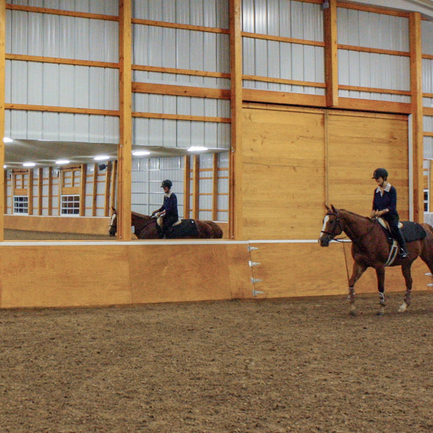 Indoor equestrian arena with wall mounted mirrors featuring a horse and rider