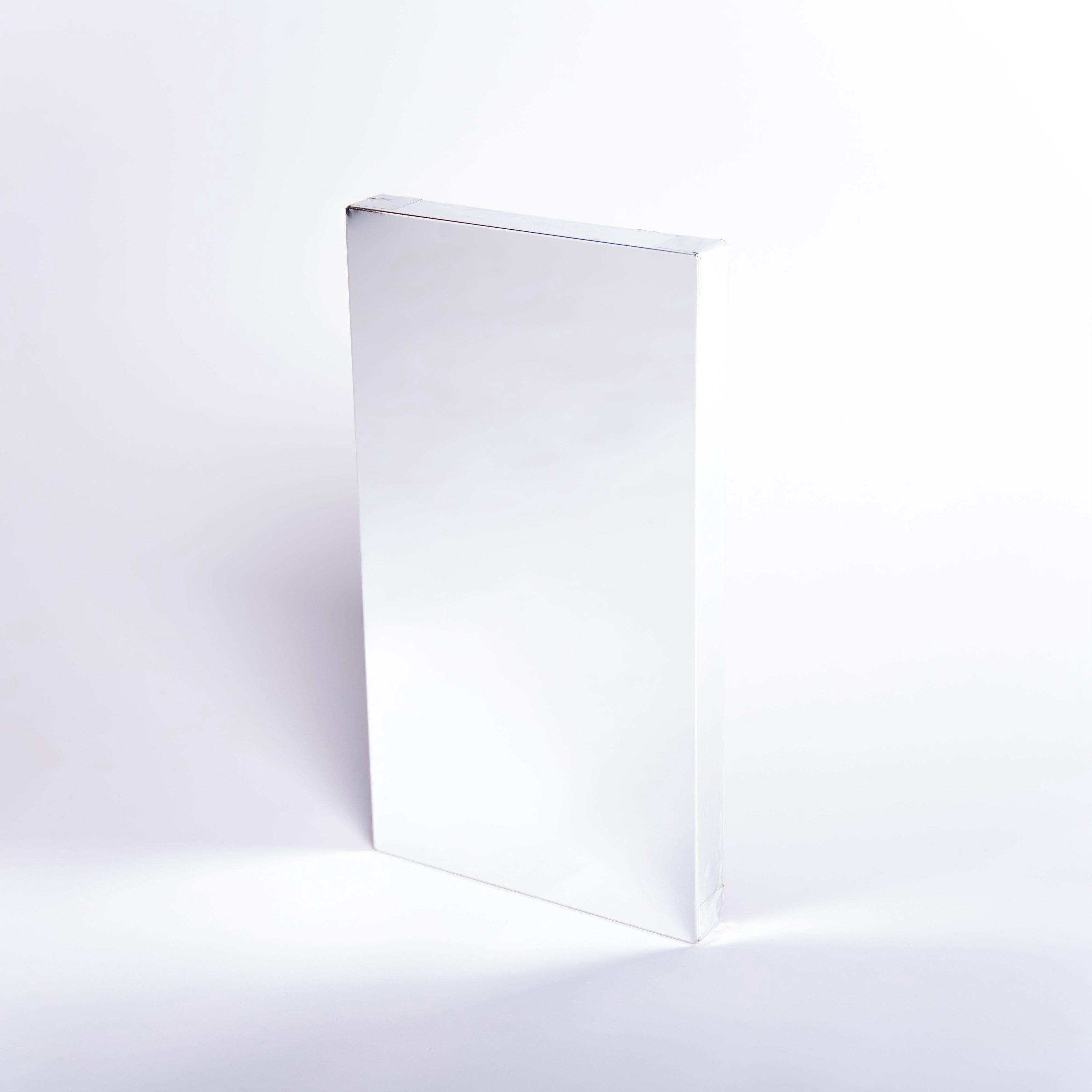 Rectangular silver mirror panel on a white background